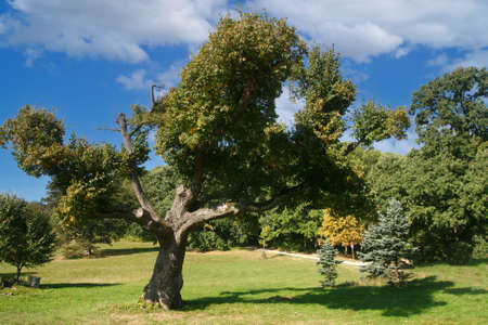 Dolna Krupa, Trnava, Slovakia 09-23-2021: Rosary of Contess Maria Henrietta Chotek. The garden was...