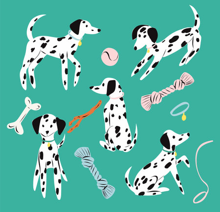 Dalmatian dog set. Cute puppy and toys. Perfect for creating fabrics, textiles, wrapping paper, and packaging.のイラスト素材