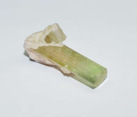 Tourmaline gem crystal raw on whiteの写真素材