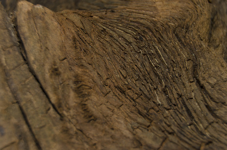 wood textureの写真素材