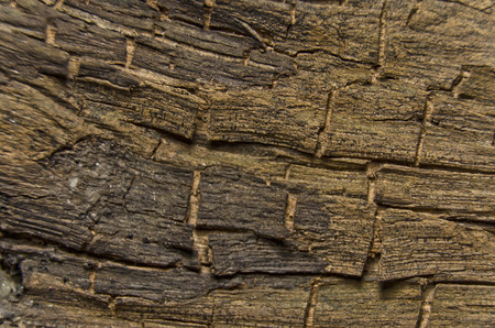 wood textureの写真素材