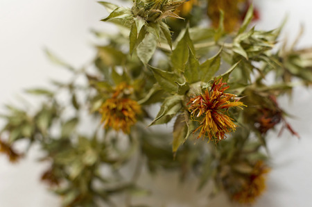 dry flowersの写真素材