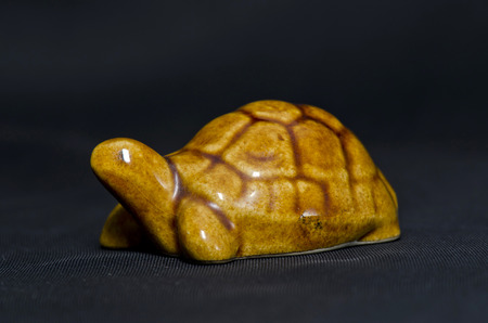 decoration turtleの写真素材
