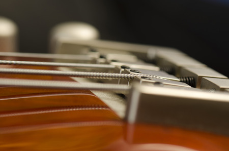 bass Guitar