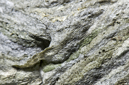 beehiveの写真素材