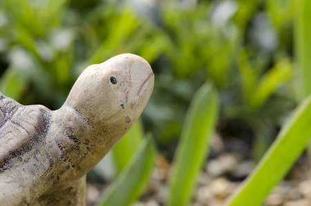 ceramic turtleの写真素材