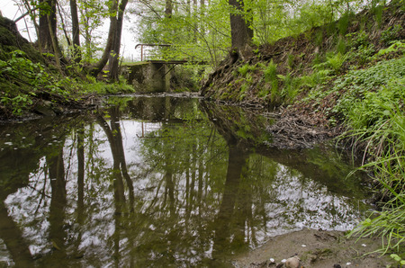 river slope with roots and part of the bridgeの写真素材
