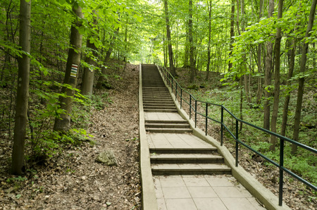 staircase in the woods or the park