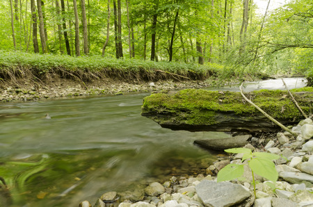 River in the forest with rocky shore and trunkの写真素材