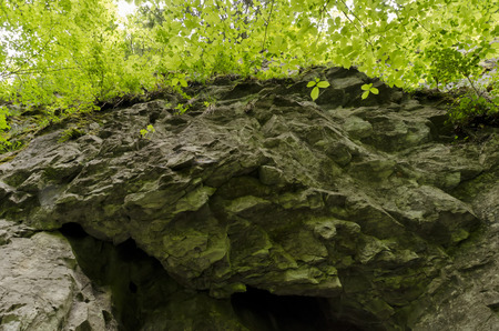 Rock with the crown of the tree above HIMの写真素材