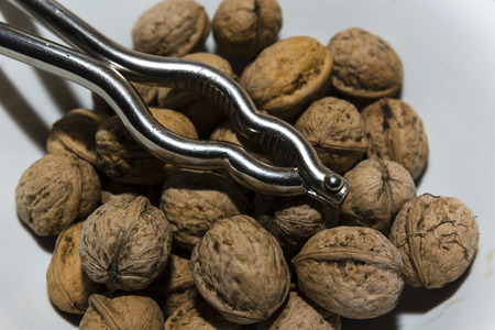 pliers walnuts with walnuts