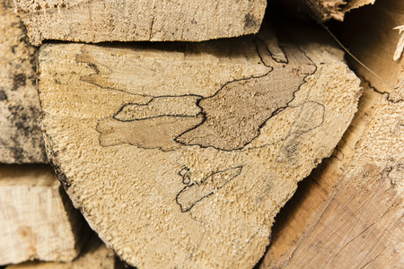 drawing in the fuel log wood