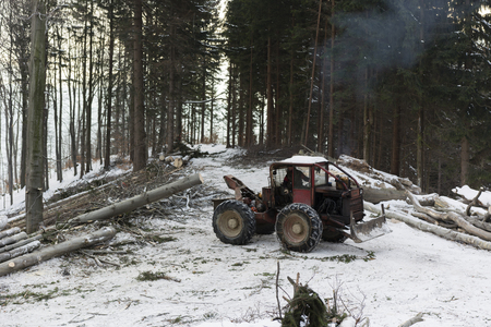 logging using the pulling carsの写真素材