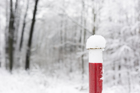 Marked with white and red metal pipe before the forest in winter with snowの写真素材