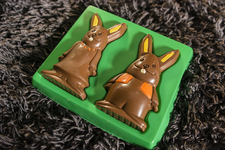 chocolate rabbit smiling female and male raceの写真素材