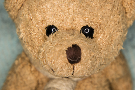 small teddy bear with Ocher colors Gleam in His eyesの写真素材
