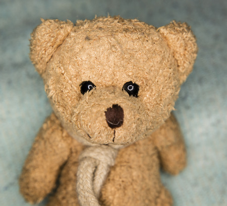 small teddy bear with Ocher colors Gleam in His eyesの写真素材