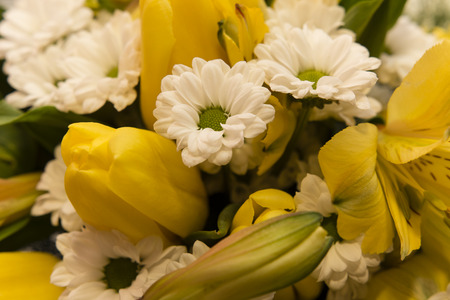 Daisy bouquet with white and yellow tulips and yellow liliesの写真素材