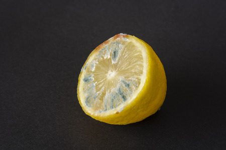 Halved lemon with mold on the surface.の写真素材