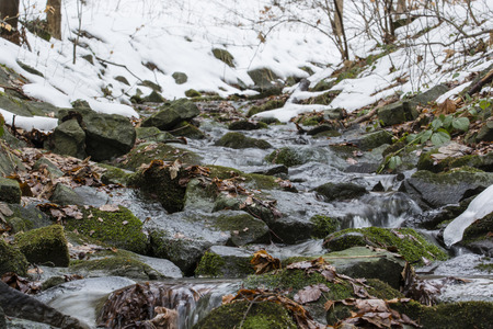 Flowing river among stones in winter with snow in the background.の写真素材
