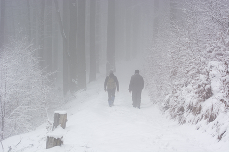 Tourists in the woods on a forest road with snow and fog.の写真素材