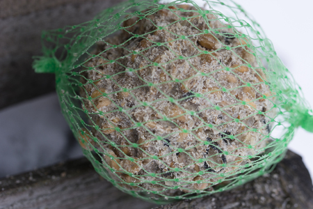 Feeding birds in winter - tallow ball in the net.の写真素材