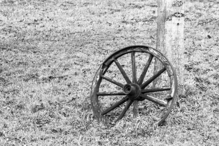Old wooden wheel leaning on a tree trunk.の写真素材