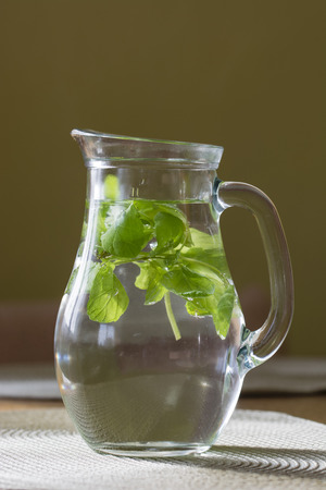 Glass jug with water and mint leaves.の写真素材