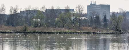 Island on the water with seagulls.の写真素材