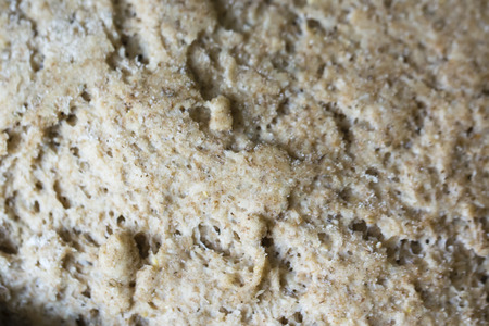 Home Bread - Breeding.