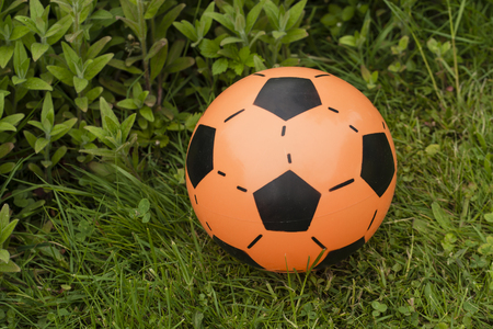 Orange coping ball lying on the grass.の写真素材