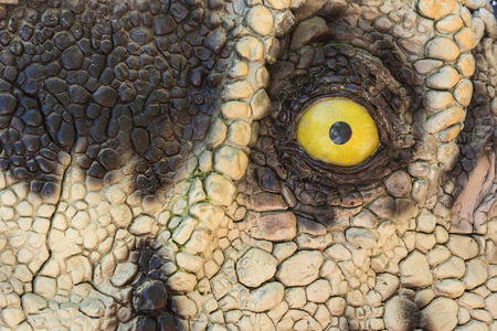 Plastic mesh from the dinosaur.