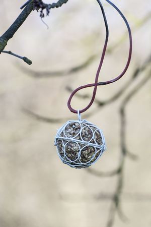 Hanged food tuna balls for birds.の写真素材