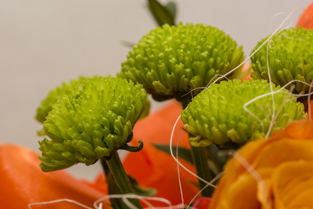 Green flowers in a bouquet.の写真素材