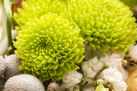 Green flowers in a bouquet.の写真素材