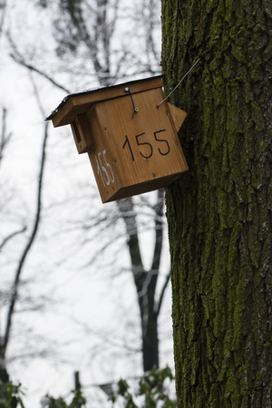 Wooden bird box on tree trunk.の写真素材