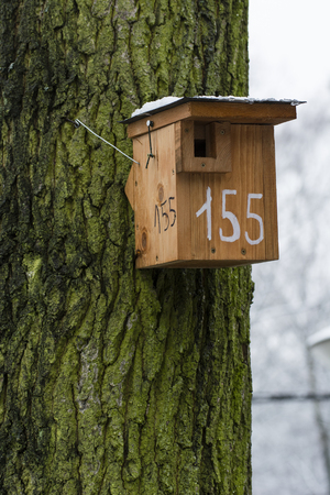 Wooden bird box on tree trunk.の写真素材