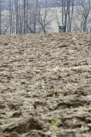Indoor covered in the distance behind the field.の写真素材