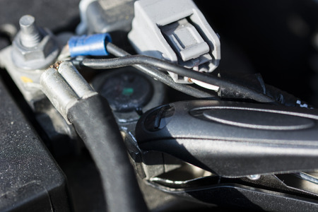 Charger clamp minus field on car battery.
