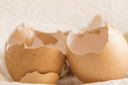 The egg shells are dried on paper.