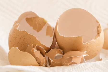 The egg shells are dried on paper.の写真素材