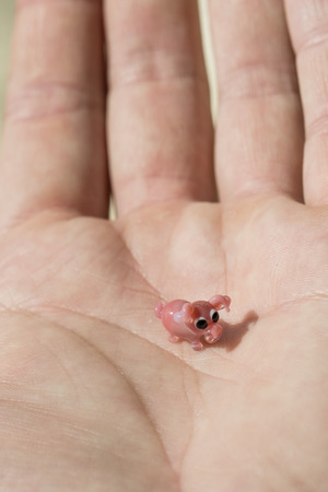 Small glass pig in the palm tree.の写真素材