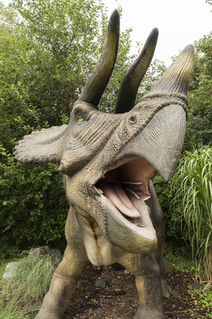 Plastic figurines dinosaur triceratopse.の写真素材