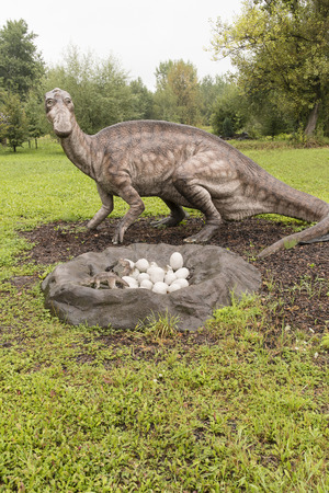 Plastic Maiasaurus manikin in nature.の写真素材