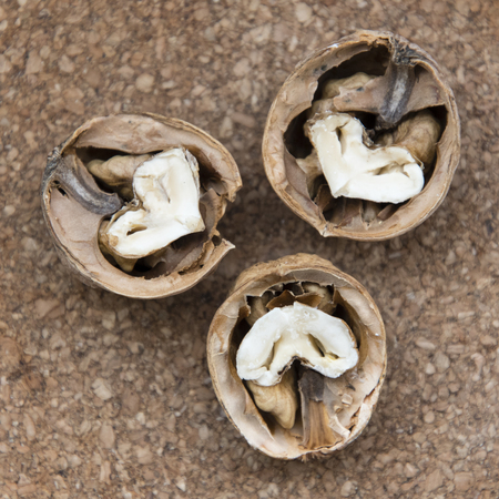 Peeled nut with inner part of the heart.