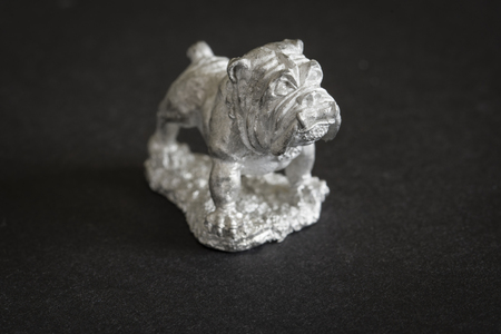 Tiny fighter dog.の写真素材