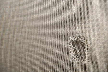 Hole in plastic insect screen.の写真素材