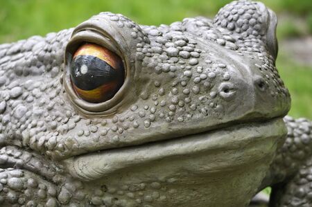 Detail of a large plastic frog head.の写真素材
