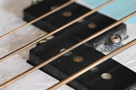Bass guitar and strings sensor.の写真素材