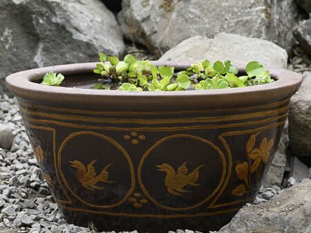 Large stone bowl with bird motif water and green plants on the surface.